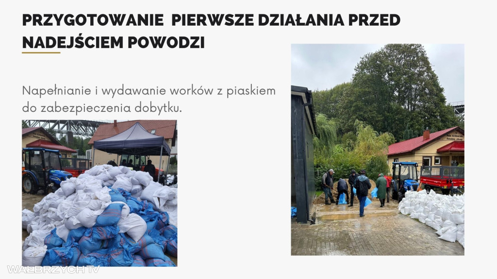 Plany Głuszycy