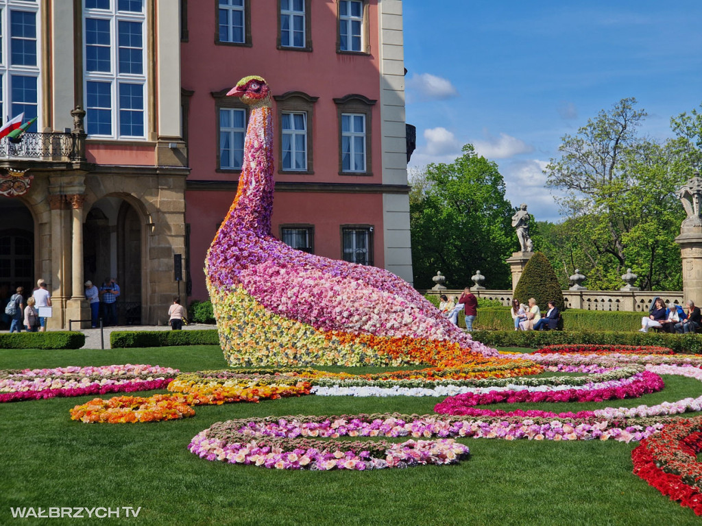 XXXV Festiwal Kwiatów i Sztuki