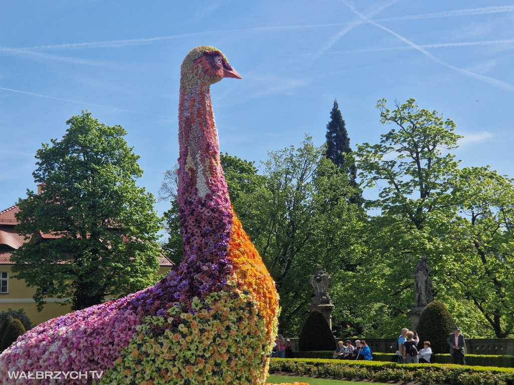 XXXV Festiwal Kwiatów i Sztuki