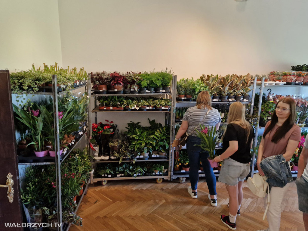 XXXV Festiwal Kwiatów i Sztuki