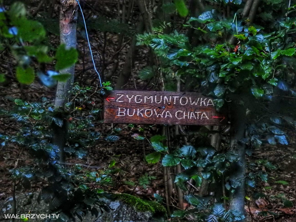 Włóczę się, żeby żyć. Żyję, żeby się włóczyć