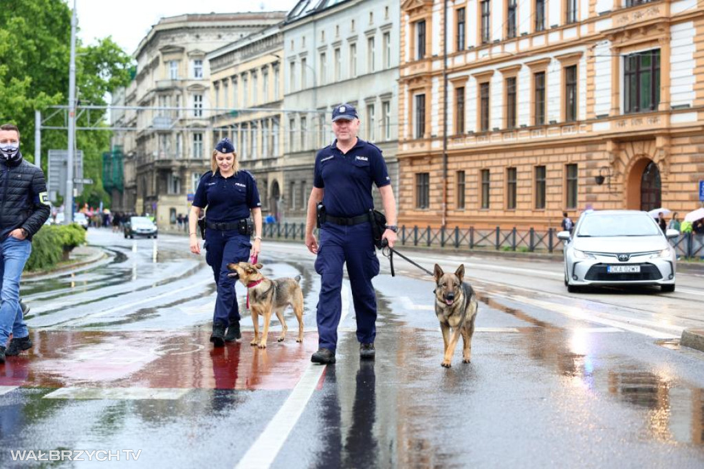 Wrocław w kolorach tęczy