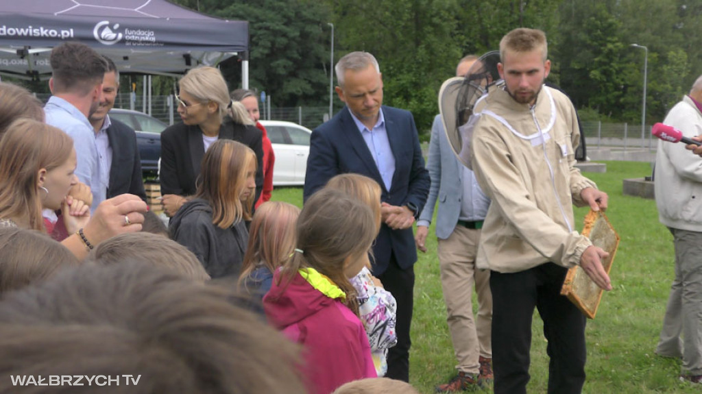 Miodobranie w Starej Kopalni