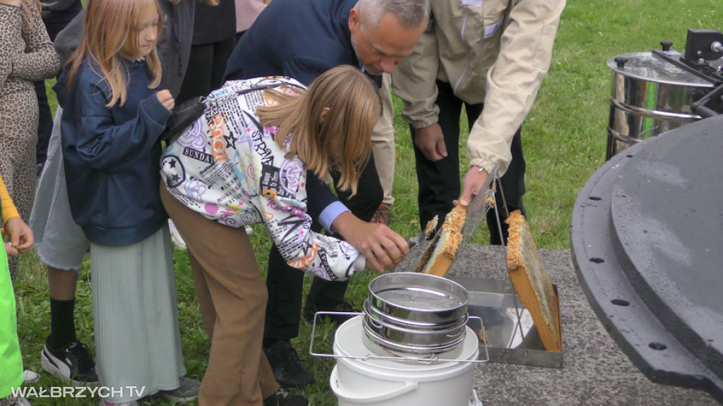 Miodobranie w Starej Kopalni