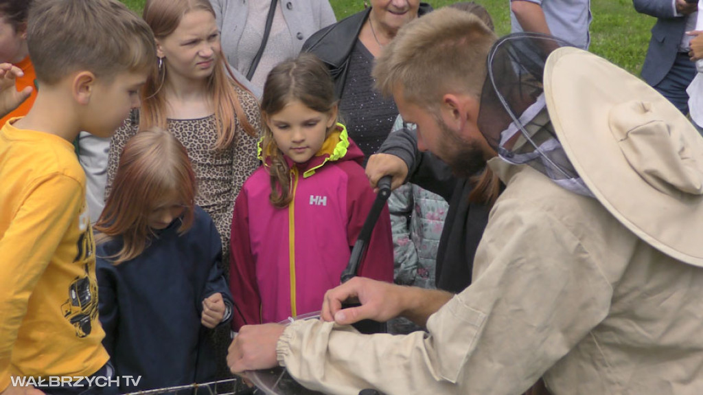 Miodobranie w Starej Kopalni