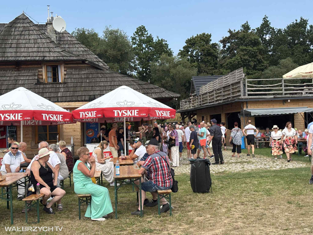 Trwa Festiwal Sera w Dziećmorowicach