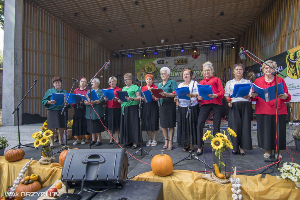 XXII Dolnośląski Festiwal Zupy w Jedlinie-Zdroju