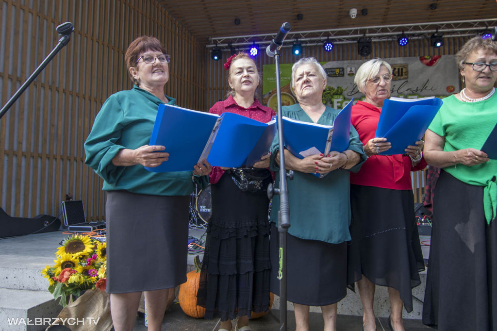 XXII Dolnośląski Festiwal Zupy w Jedlinie-Zdroju
