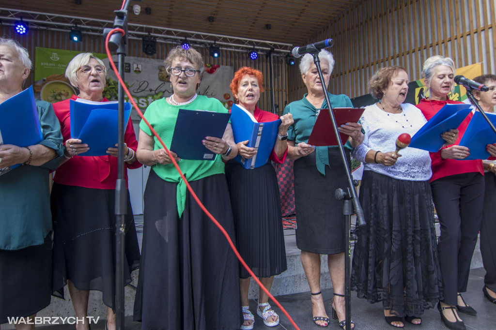 XXII Dolnośląski Festiwal Zupy w Jedlinie-Zdroju