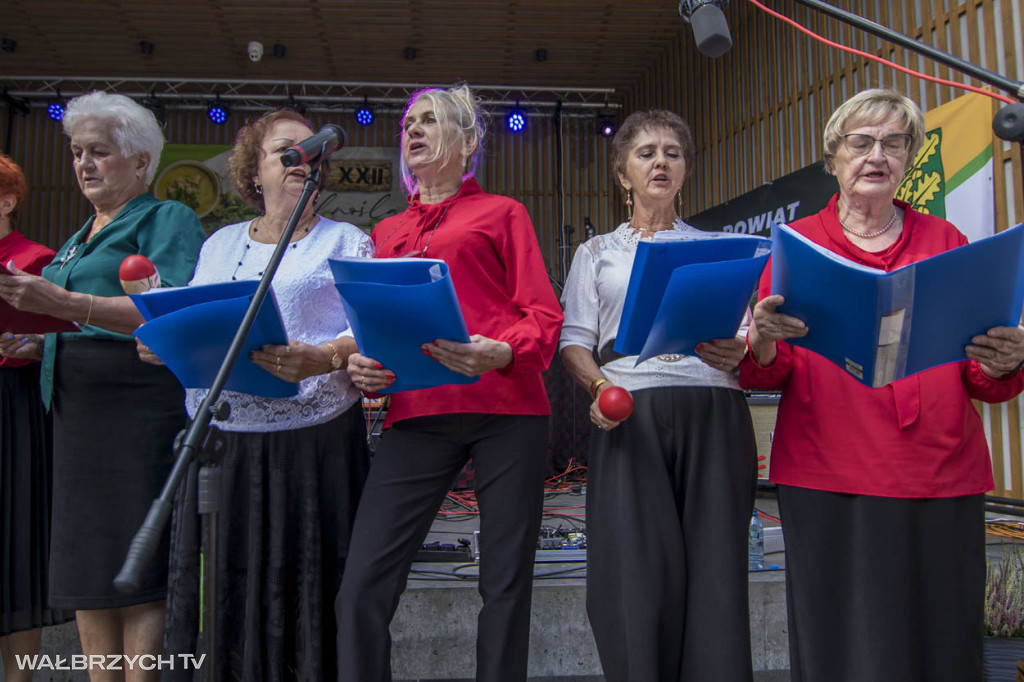 XXII Dolnośląski Festiwal Zupy w Jedlinie-Zdroju