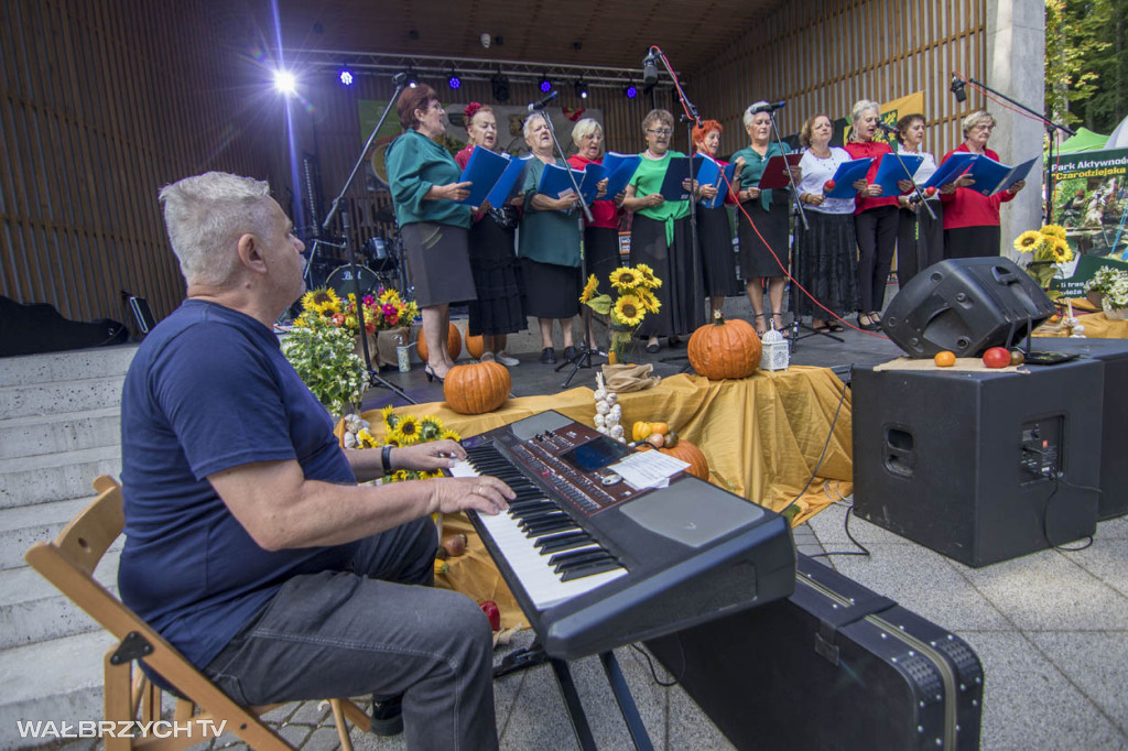 XXII Dolnośląski Festiwal Zupy w Jedlinie-Zdroju