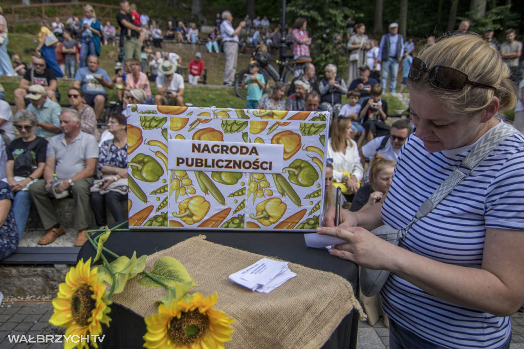 XXII Dolnośląski Festiwal Zupy w Jedlinie-Zdroju