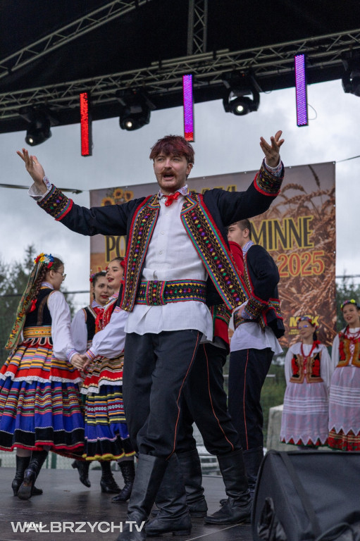Dożynki w Mieroszowie – święto plonów i tradycji