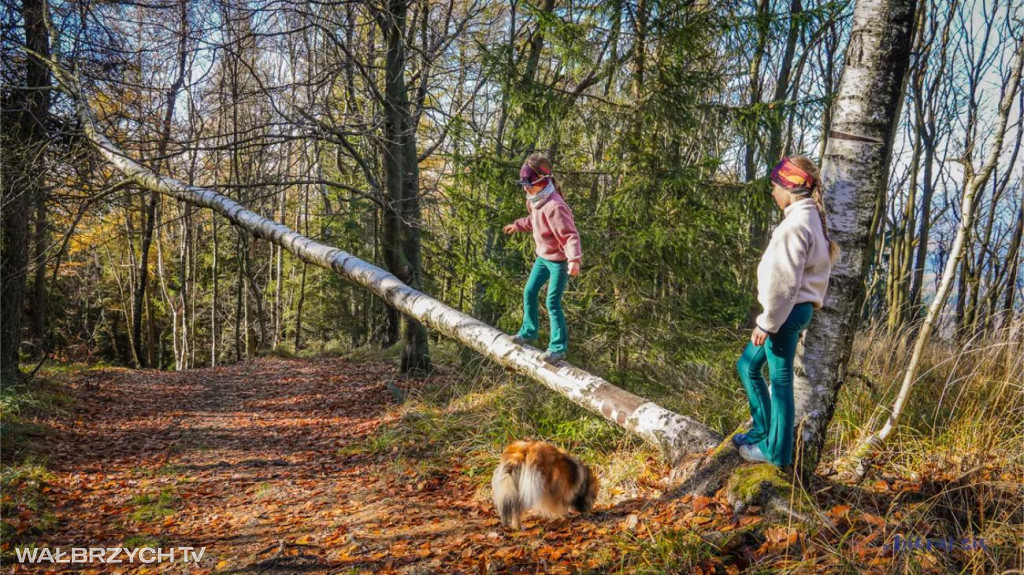 Rodzinnie i pociągiem na Dolny Śląsk