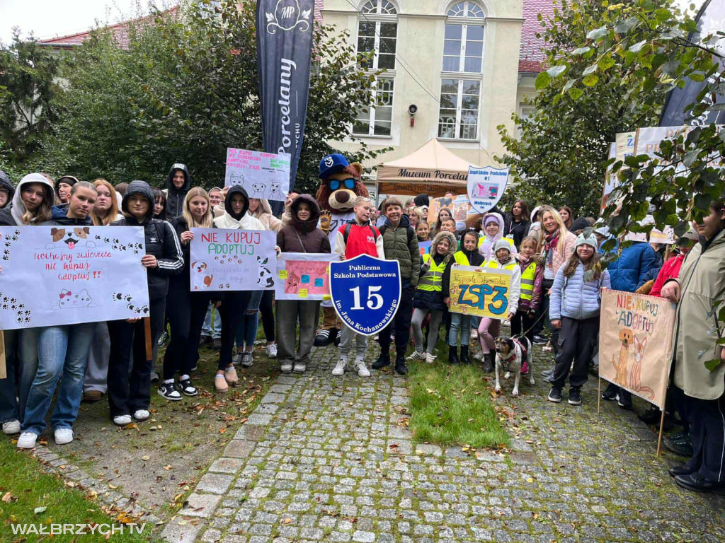 III Parada Przyjaciół Schroniska