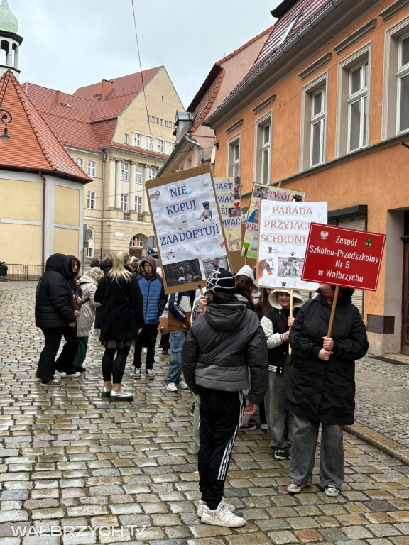 III Parada Przyjaciół Schroniska