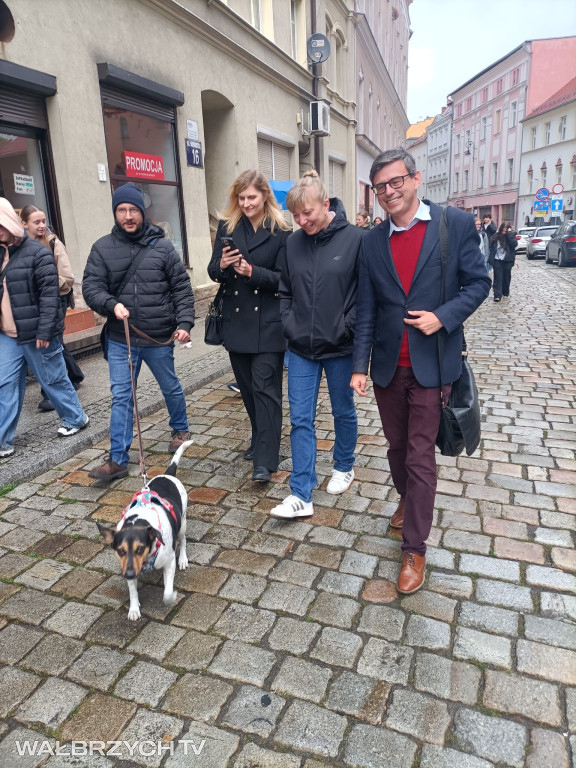 III Parada Przyjaciół Schroniska