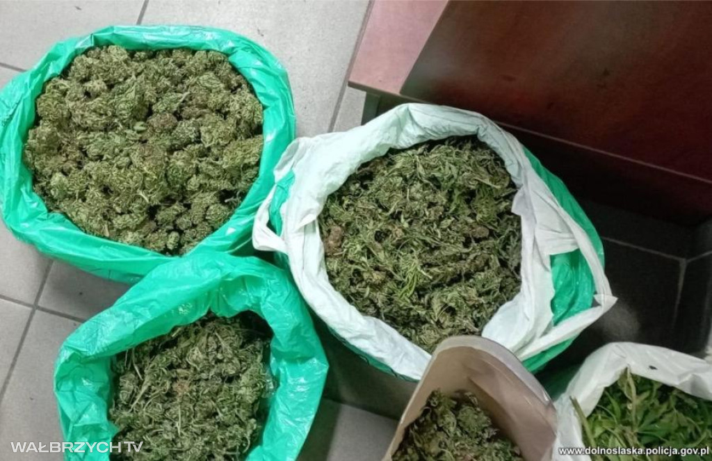 Dolny Śląsk: Dwa międzynarodowe gangi rozbite