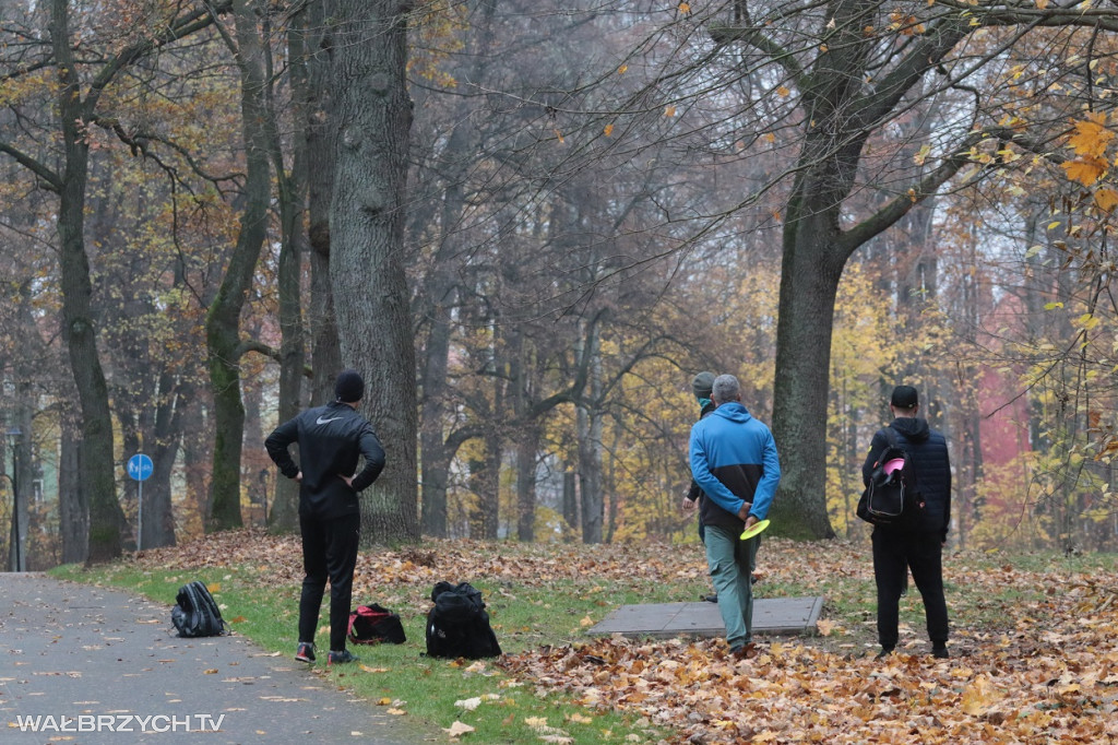 Disc Golf w Parku Rusinowa