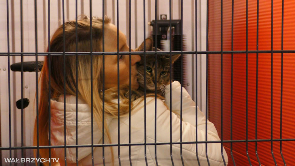 Nowe Schronisko dla bezdomnych zwierząt