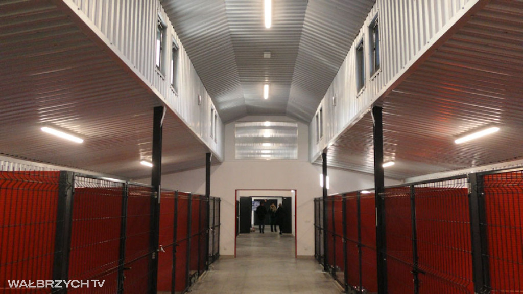 Nowe Schronisko dla bezdomnych zwierząt