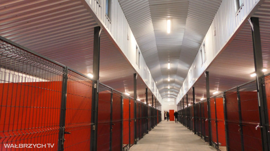 Nowe Schronisko dla bezdomnych zwierząt