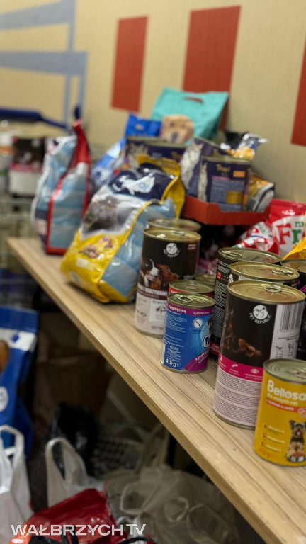 Podsumowanie weekendu KPS Chełmiec ANS AS Wałbrzych