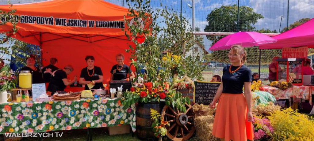 Francja, elegancja w Lubominie