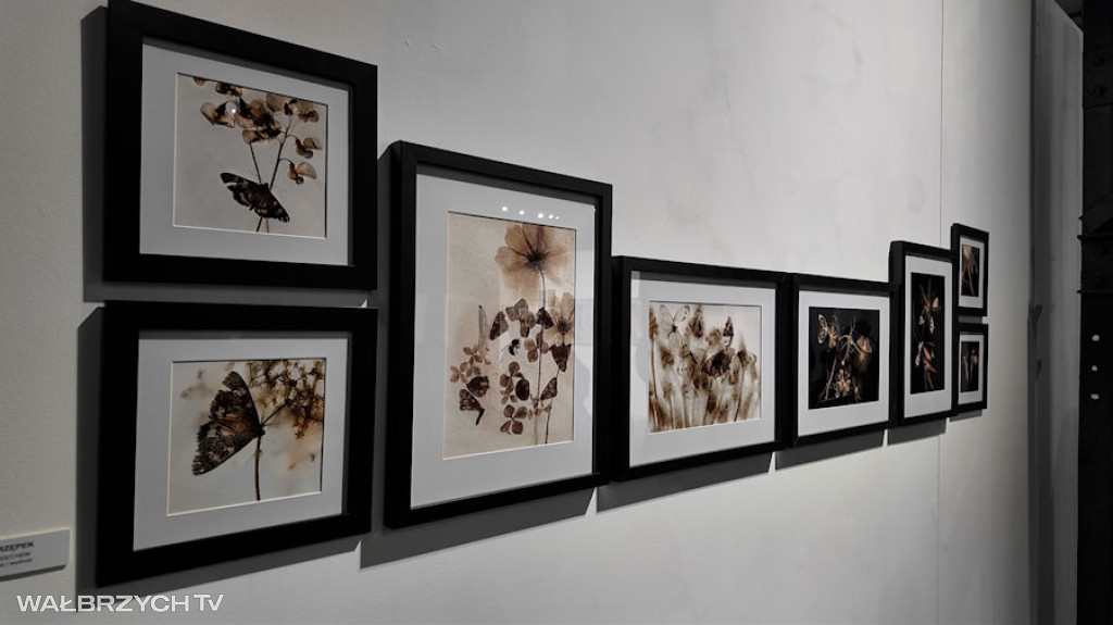 VII Triennale Fotografii Wałbrzyskiej