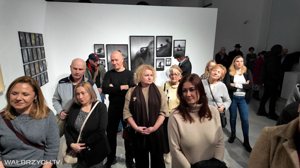 VII Triennale Fotografii Wałbrzyskiej