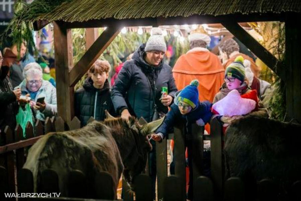Wigilia 2025: Uśmiech i życzliwość - tego życzymy