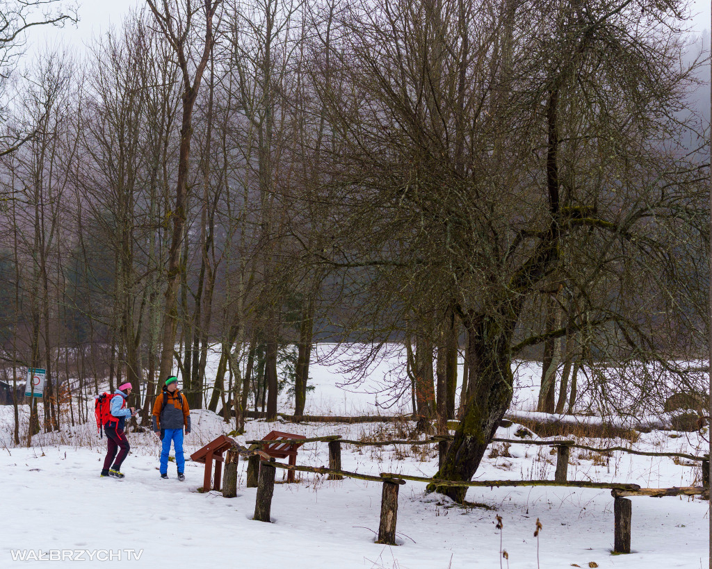 VII Zimowa Wyrypa Gór Suchych