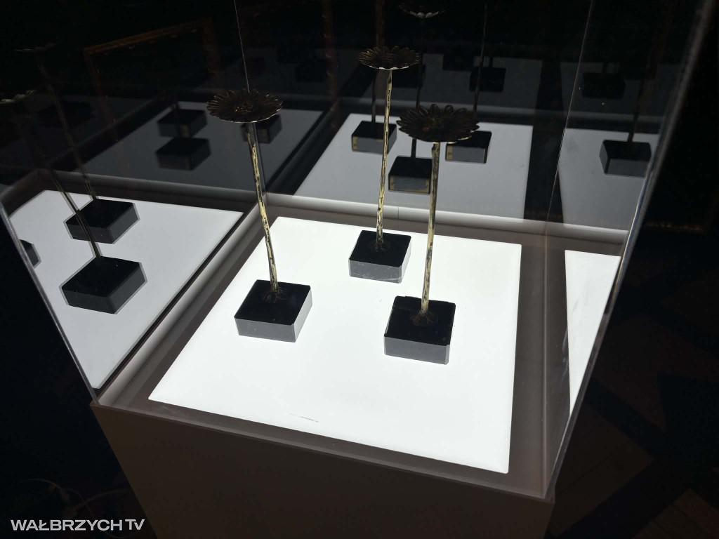 Gala Ambasador Wałbrzycha