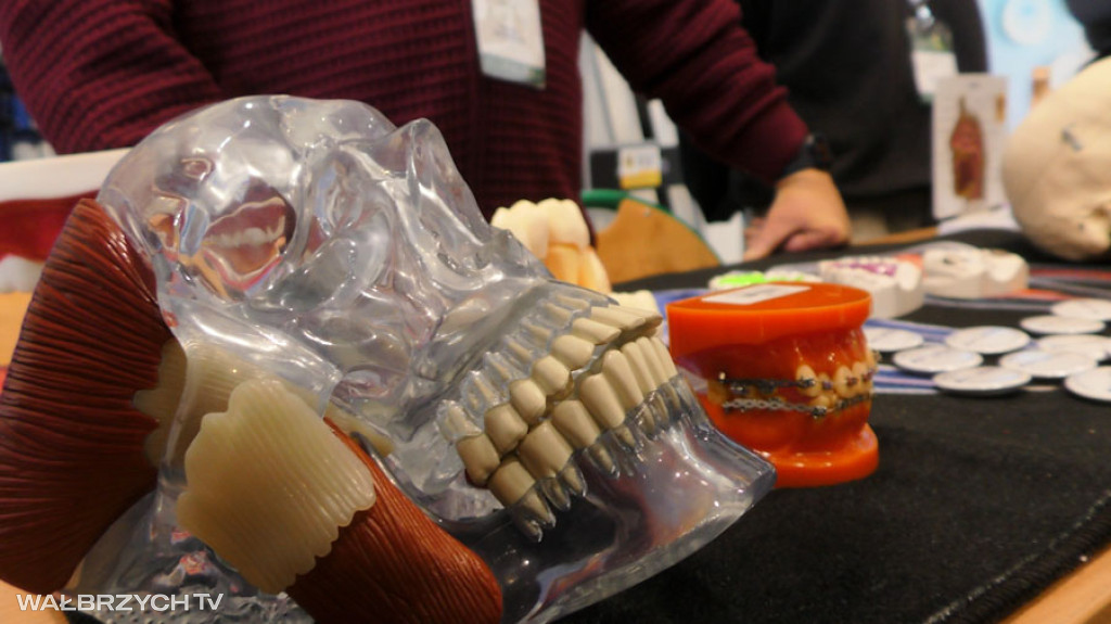 Targi Pracy i Kariery - Dzień Otwarty w ANS AS