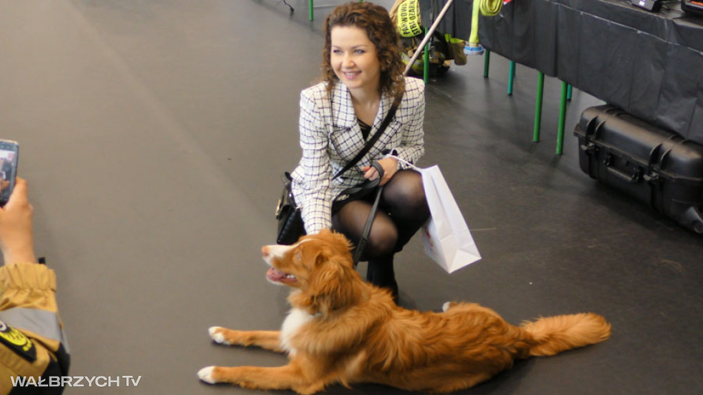 Targi Pracy i Kariery - Dzień Otwarty w ANS AS