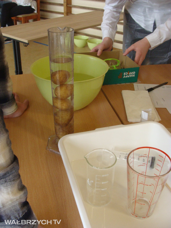 Wałbrzych: Finał Matematica Applicata