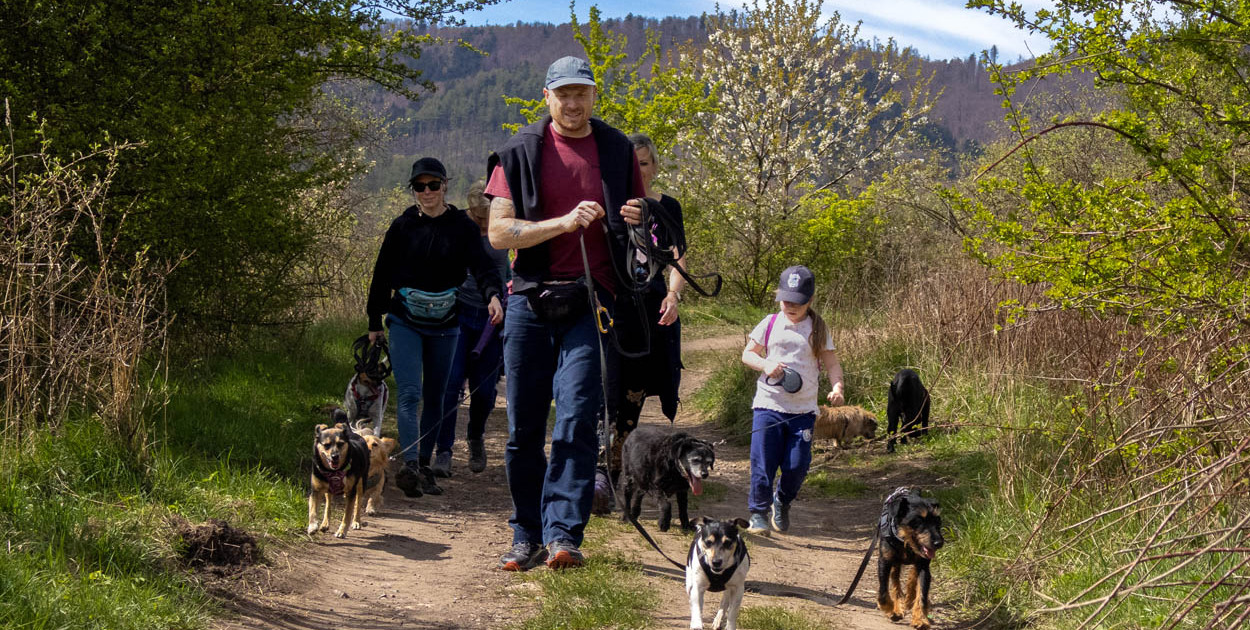 Spacer na Cztery Łapy - ostatni weekend kwietnia