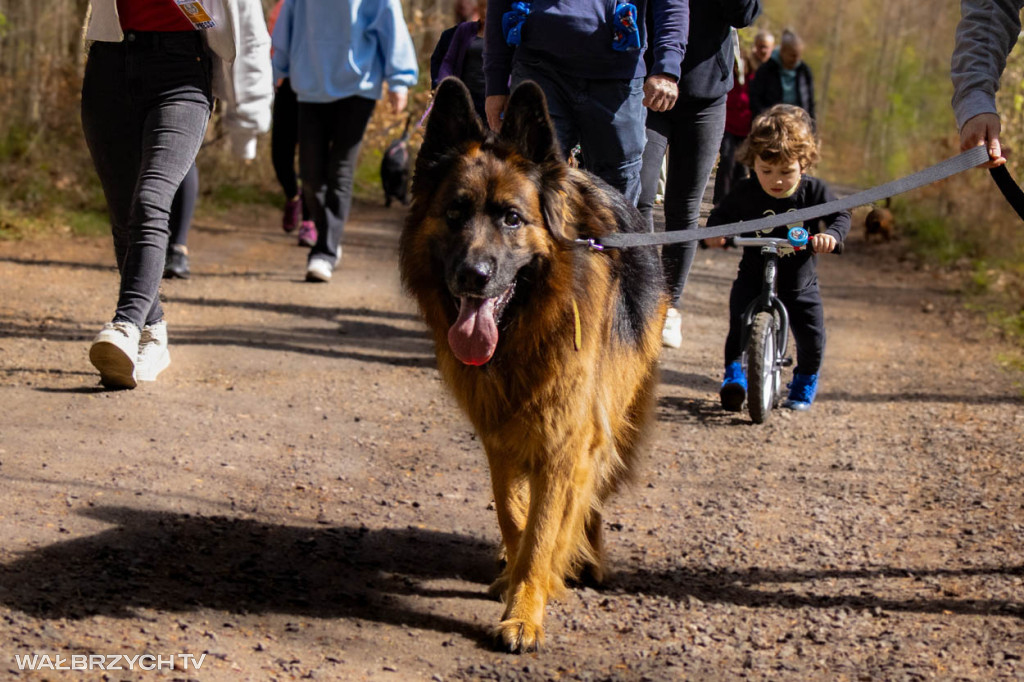 Spacer na Cztery Łapy - ostatni weekend kwietnia