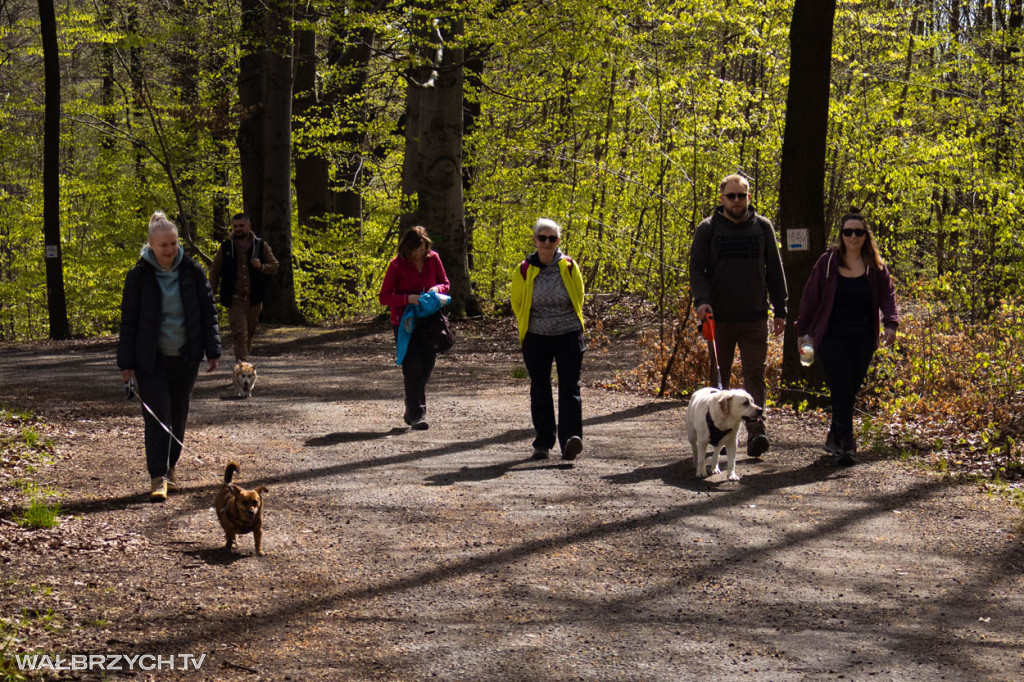 Spacer na Cztery Łapy - ostatni weekend kwietnia
