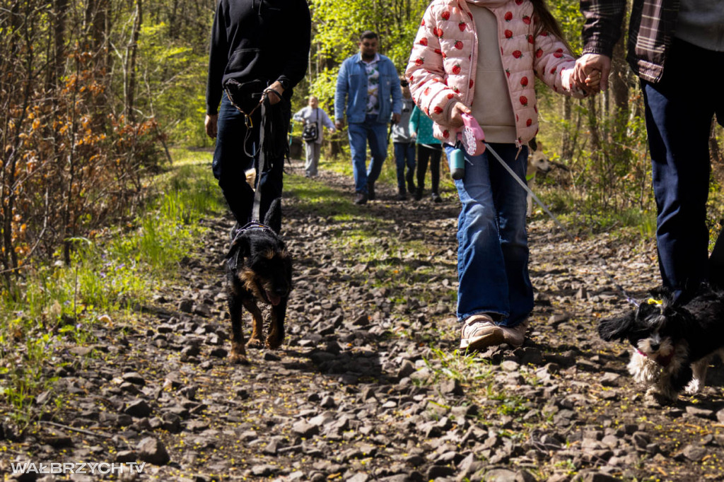 Spacer na Cztery Łapy - ostatni weekend kwietnia