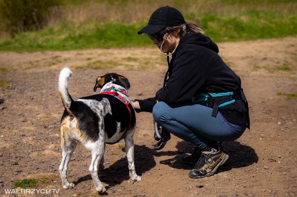Spacer na Cztery Łapy - ostatni weekend kwietnia