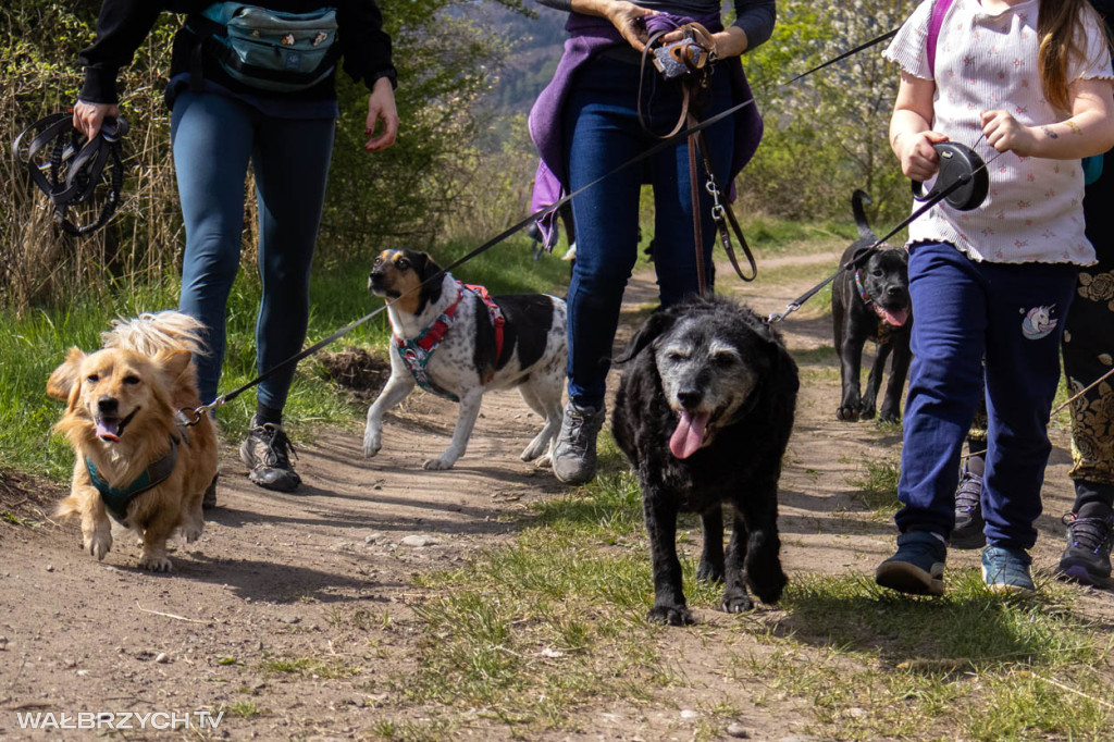 Spacer na Cztery Łapy - ostatni weekend kwietnia