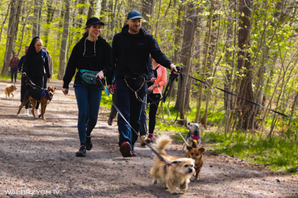 Spacer na Cztery Łapy - ostatni weekend kwietnia