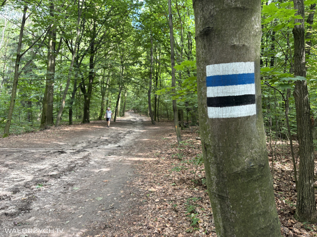 Spacer z burmistrzem Szczawna-Zdroju