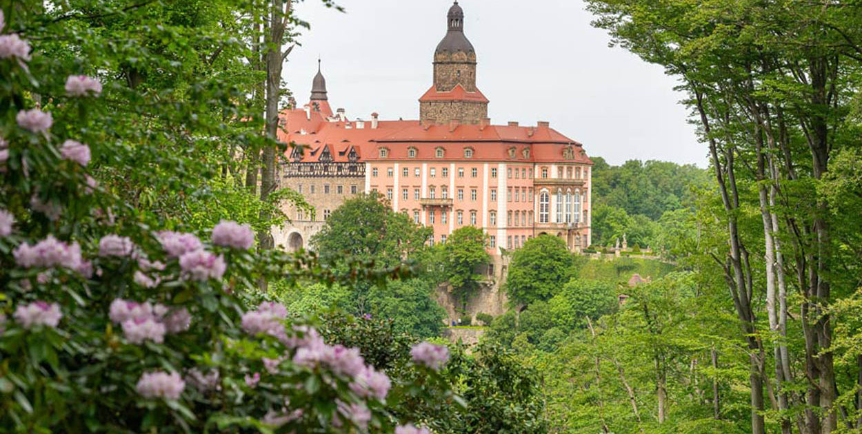 archiwum (użyczone)