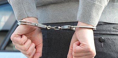 Śmieciowy układ? CBA zatrzymało prezesów - w tym z Wałbrzycha -17133