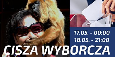 Cisza wyborcza. Czas zamilknąć, zanim powiemy o jedno zdanie za dużo-17201