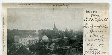Czas zatrzymany w tubie: Niedźwiedzica odkrywa skarby-17536