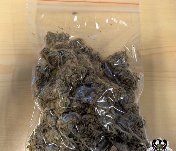 Marihuana i metamfetamina w rękach policji-17966
