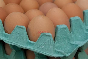 Salmonella na jajach znanej marki. Nie jedz, jeśli masz je w lodówce!-18153